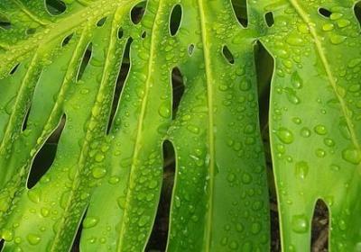 穷人和富人的经典语录(优选51句) 穷人和富人的经典语录(优选51句)