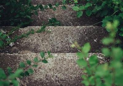 紫薇经典语录(热门20句) 紫薇经典语录(热门20句)