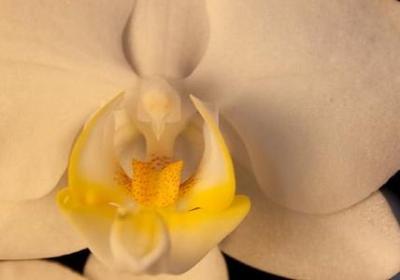 背包十年经典语录(汇总60句) 背包十年经典语录(汇总60句)