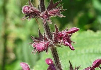 致青春经典语录一句话(70句) 致青春经典语录一句话(70句)