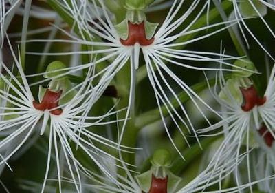 简媜经典语录(必备20句) 简媜经典语录(必备20句)