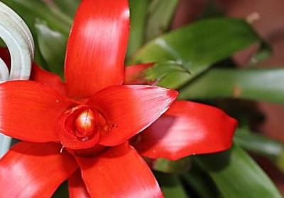 经典语录歌曲(实用78句) 经典语录歌曲(实用78句)