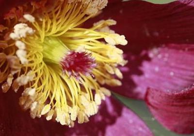 美好回忆的句子经典语录(50句) 美好回忆的句子经典语录(50句)