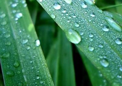 罗斯福经典语录(共90句) 罗斯福经典语录(共90句)