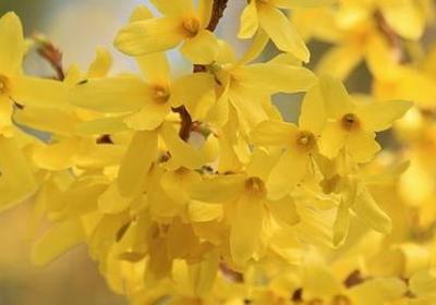 祈祷的句子 经典语录(热门60句) 祈祷的句子 经典语录(热门60句)