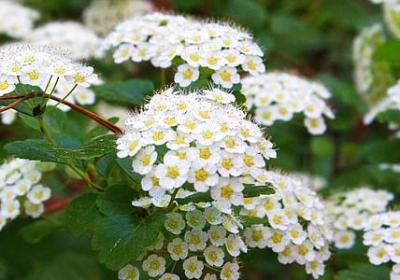 神曲但丁经典语录(实用20句) 神曲但丁经典语录(实用20句)