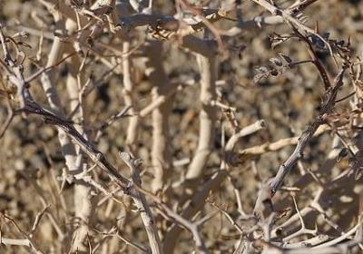 羽毛球经典语录(90句) 羽毛球经典语录(90句)