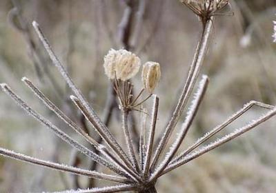 红楼梦经典语录摘抄(共40句)