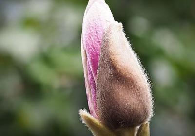 致岁月迢迢经典语录(实用50句)