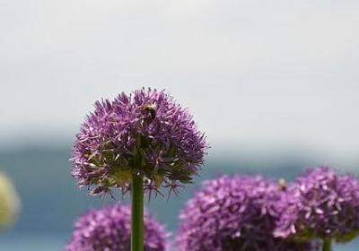 经典语录 励志(合集40句)