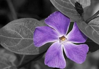 祁厅长经典语录(必备20句)