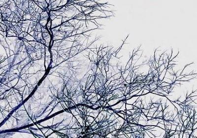 简爱经典语录英文(共20句)