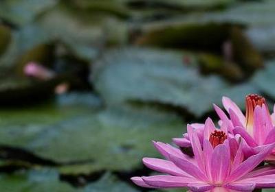 经典语录短句(优选134句)