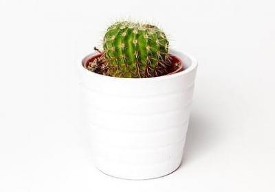 老死不相往来经典语录(精选60句)