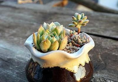 致闺蜜的经典语录(必备50句)