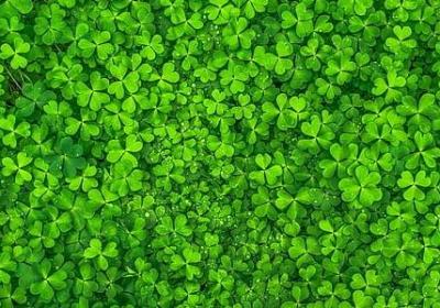 科比经典语录(推荐40句)