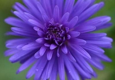 童心未泯的经典语录(热门50句)