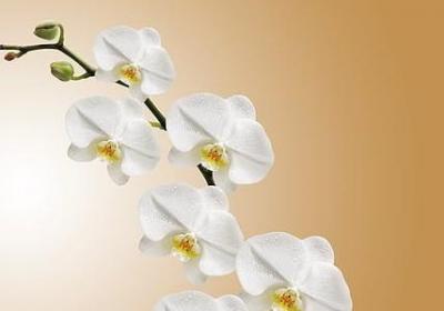 职场经典语录(热门20句)