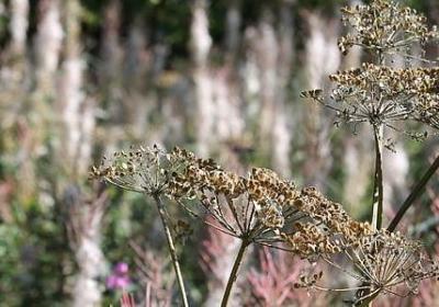 聂枭经典语录(通用20句)