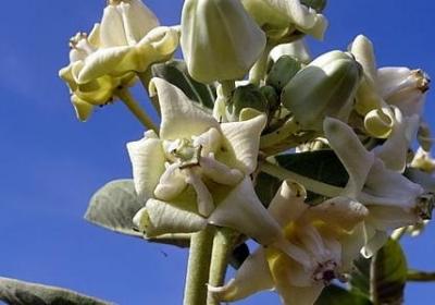 致我们终将逝去的青春经典语录(实用50句)