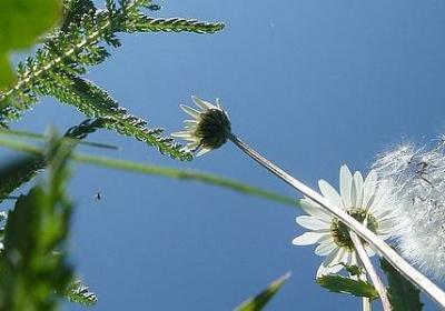 羊皮卷经典语录50句(推荐50句)