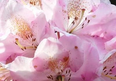 笑傲江湖台词经典语录(必备40句)