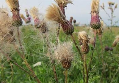 致闺蜜的经典语录暖心(实用50句)