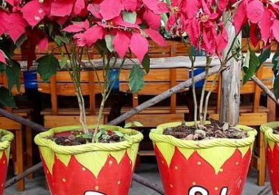 神曲经典语录(实用40句)