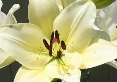 说穷的经典语录(热门69句)