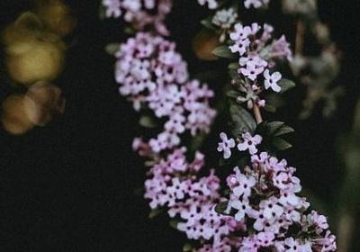 费孝通经典语录(热门20句)