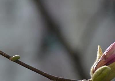 莫言经典语录励志生路(热门60句)