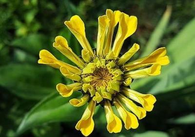 诸葛亮语录经典语录(汇总50句)