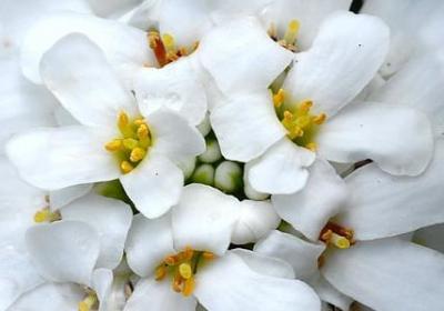 路明非经典语录(通用50句)