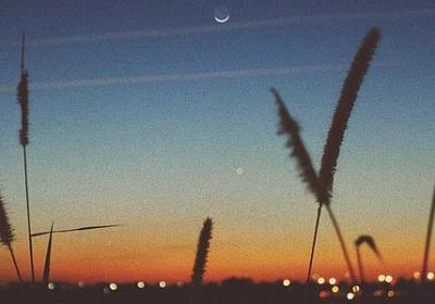 范伟经典语录(实用40句)