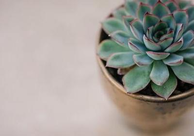 超凡蜘蛛侠经典语录(精选91句)