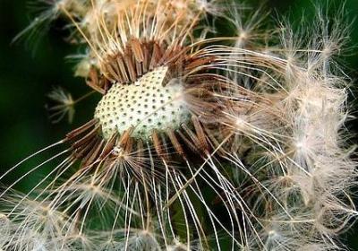 蛙经典语录(实用50句)