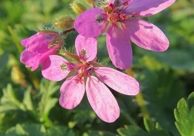 说男人出轨的经典语录(合集50句)