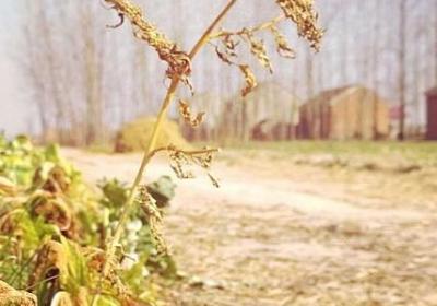 英语一句话经典语录(热门80句)