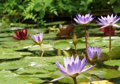 赵丽颖说过的经典语录(40句)