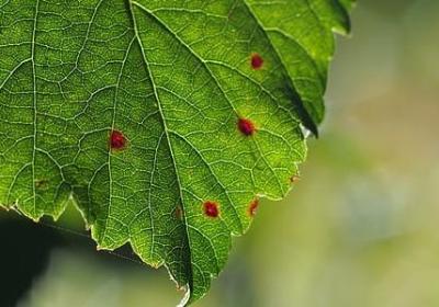 货比货的经典语录(优选80句)