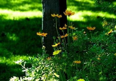 董卿阅读者经典语录(必备41句)