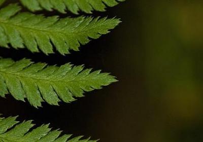 藏语经典语录(实用20句)