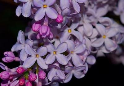 虚伪的人的经典语录(50句)