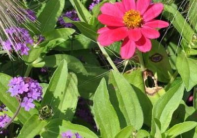 足球经典语录(必备40句)