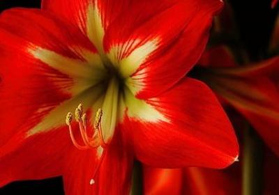 蔡康永的经典语录(实用60句)