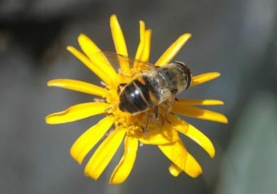 苦难辉煌经典语录(必备50句)