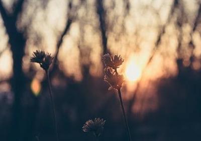 艾弗森语录经典语录(实用50句)