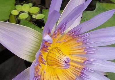 薛之谦段子手经典语录(通用60句)