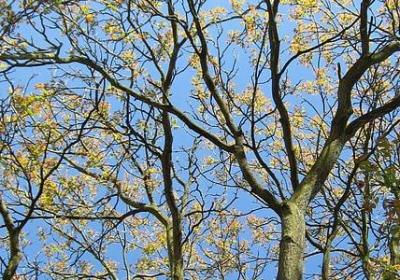 著名作家经典语录(实用20句)