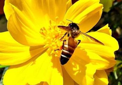 葬爱家族经典语录(热门50句)